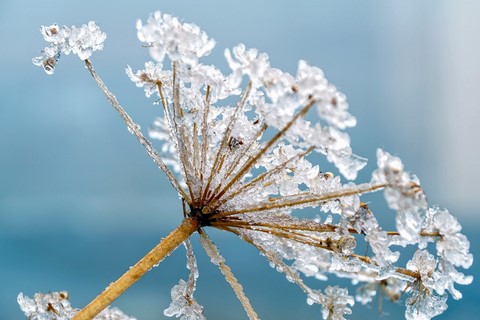 saison-hiver-energie